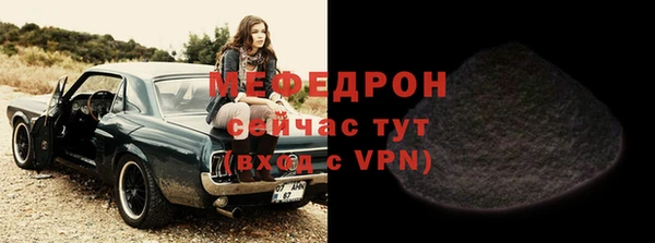 сатива Беломорск