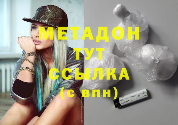 сатива Беломорск