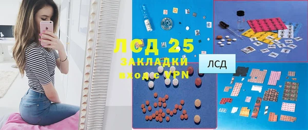 сатива Беломорск