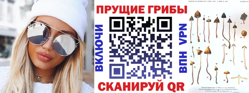 kraken онион мориарти состав Галлюциногенные грибы MAGIC MUSHROOMS как найти закладки Нефтекумск